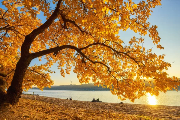 Belle ruelle romantique dans un parc avec des arbres colorés et sunli — Photo