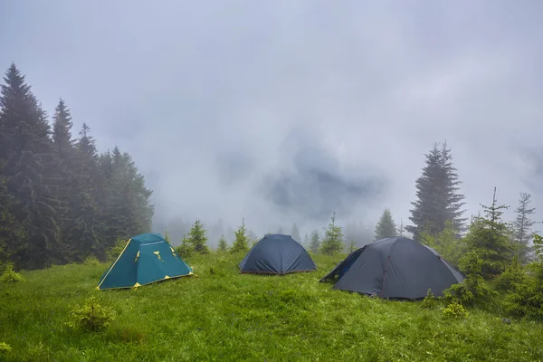 Kempingezés és sátrak az erdőben a hegyekben — Stock Fotó