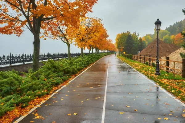 autumn park, rainy background, autumn landscape background rain