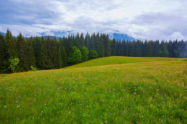 тарелка с рисом в руках туриста
