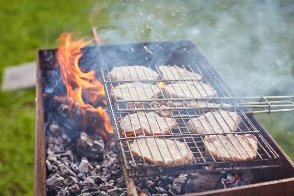 La viande sur les brochettes est rôtie sur le feu — Photo