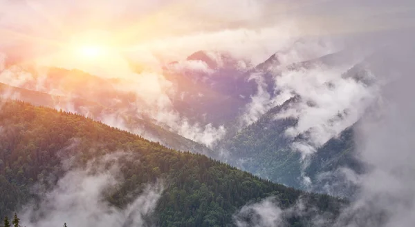 Mountain peaks in fog scenery landscape — Stock Photo, Image