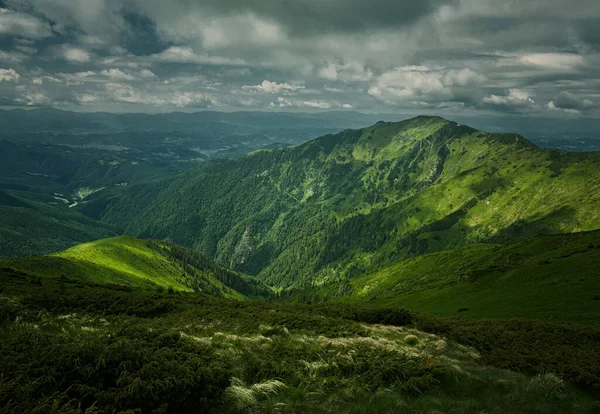 Bela vista da paisagem alpina tranquila com prados verdes, árvores, nuvens escuras baixas nas montanhas ao fundo em um dia ensolarado de verão . — Fotografia de Stock