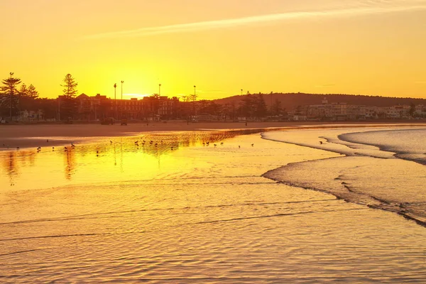 Belo pôr do sol na praia com reflexos de água, gaivotas o — Fotografia de Stock