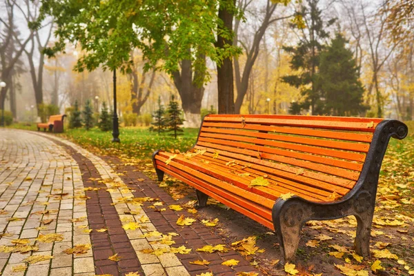 Parque con banco en el callejón en otoño —  Fotos de Stock