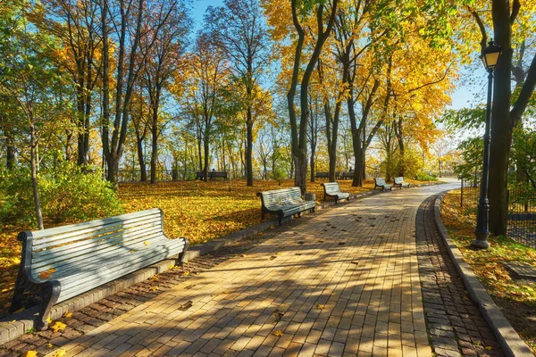 Парк со скамейкой на аллее осенью — стоковое фото