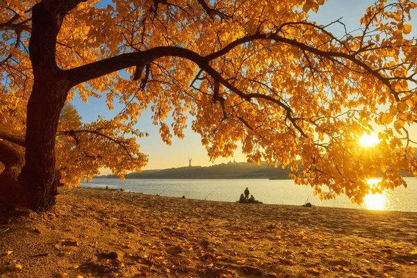 Belle ruelle romantique dans un parc avec des arbres colorés et sunli — Photo