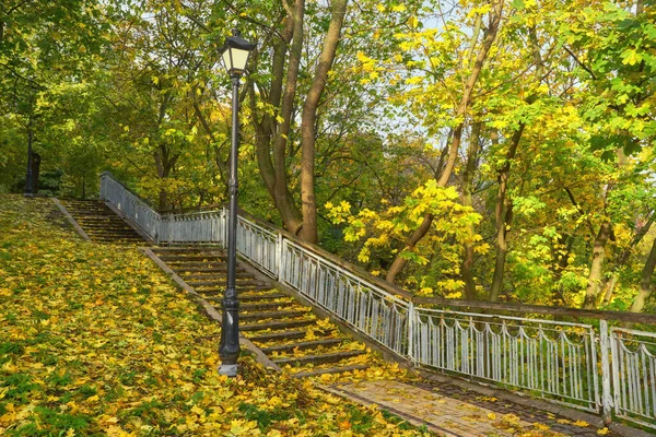 Rot und bunte Herbstfarben im Wald mit Straße und Sonne — Stockfoto