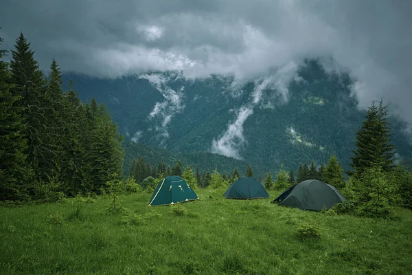 Camping og telt i skog i fjellet – stockfoto