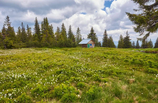 Belle vue sur le paysage alpin tranquille avec des prairies verdoyantes, des arbres, des nuages sombres et bas sur les montagnes en arrière-plan par une journée d'été ensoleillée . — Photo