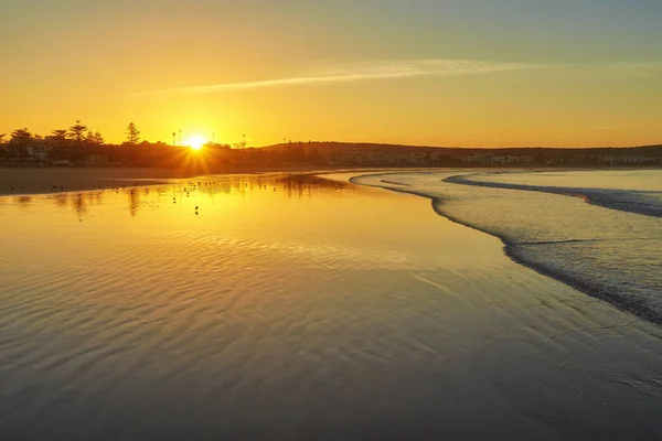 Bellissimo tramonto sulla spiaggia con riflessi d'acqua, gabbiani sulla sabbia e mulini a vento sullo sfondo — Foto Stock