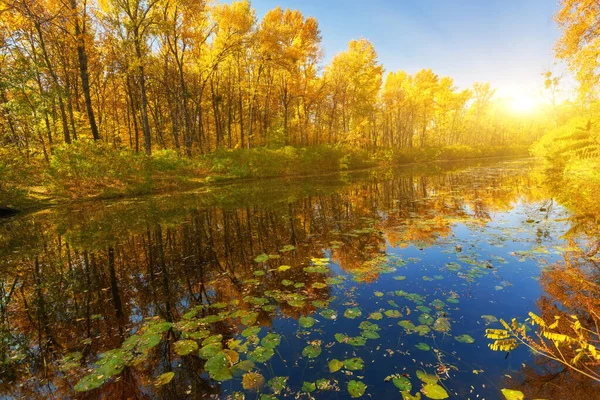 A floresta de outono é refletida na água azul calma do para — Fotografia de Stock