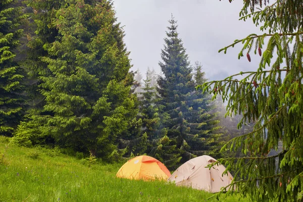 Camping y tiendas de campaña en el bosque en las montañas — Foto de Stock