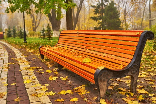 Parque con banco en el callejón en otoño —  Fotos de Stock