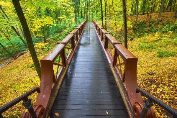 Beau pont en bois dans la forêt. Feuilles colorées . Photo De Stock