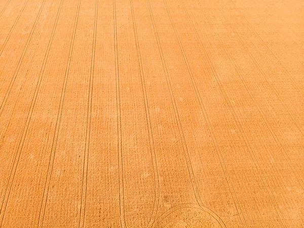 Luftaufnahme Eines Weizenfeldes Mit Traktorspuren Schöne Landwirtschaftliche Textur Oder Hintergrund — Stockfoto