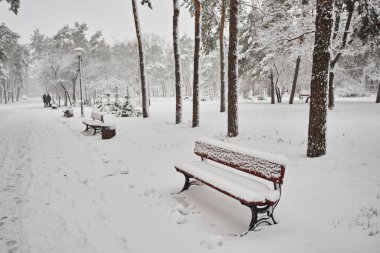 Parkta bankta Kışın karda