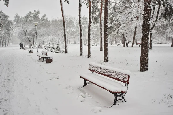 公园里的长椅在雪地里 — 图库照片