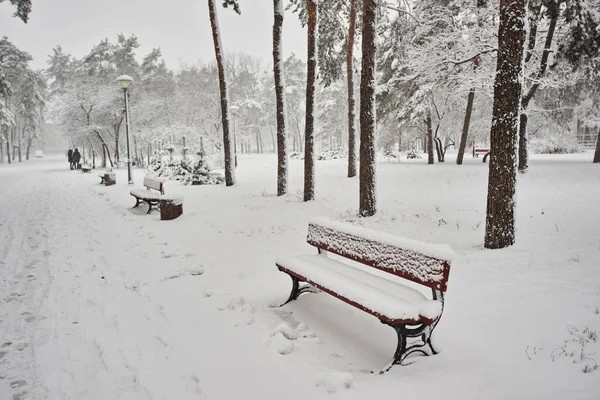 Banc Dans Parc Dans Neige Hiver — Photo