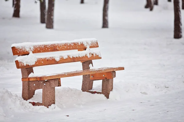 Bench Park Snow Winter — Stock Photo, Image