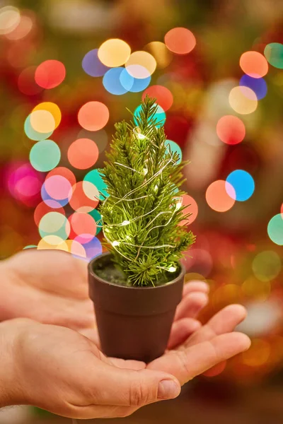 新年の光を背景に少女の手に輝くガーランドを持つ小さなクリスマスツリー — ストック写真
