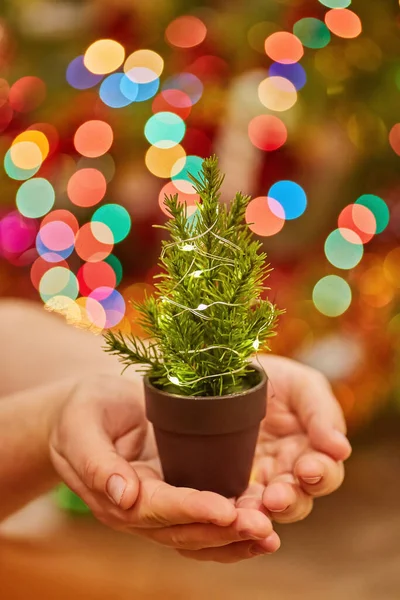 新年の光を背景に少女の手に輝くガーランドを持つ小さなクリスマスツリー — ストック写真