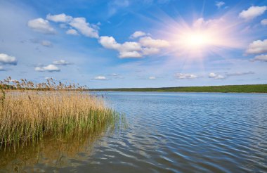 Kristal berrak suyu olan sakin bir göl mavi gökyüzünü, ince bulutları ve uzak, yoğun yeşil ormanı mükemmel yansıtır. Önünde sazlıklar olan huzurlu doğal manzara.