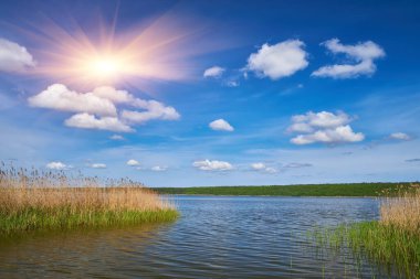 Kristal berrak suyu olan sakin bir göl mavi gökyüzünü, ince bulutları ve uzak, yoğun yeşil ormanı mükemmel yansıtır. Önünde sazlıklar olan huzurlu doğal manzara.