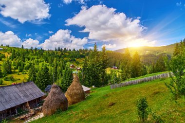 Parlak mavi gökyüzünün altında, beyaz kümülüs bulutlarıyla dolu, sık ve yeşil bir ormanın sınırında uzanan çayırlık bir yamaçtan oluşan güneşli dağ manzarası. Yaz ıssız sahnesi.