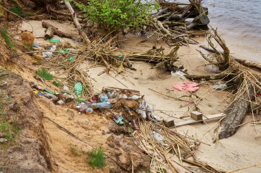Plastik şişeler, çöpler ve sazlıklar arasında kumlara saçılmış sürüklenen dallarla kirlenmiş bir nehir kıyısı. Görüntü, insan faaliyetlerinin doğal ekosistemler üzerindeki çevresel etkisini vurgular..