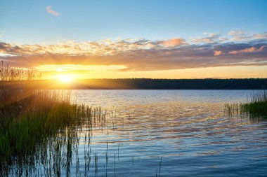Huzurlu bir gölün üzerinde altın bir gündoğumu, güneş orman sınırının üzerinden gözetliyor. Ön plandaki sazlıklar sakin suları yansıtıyor, sabahın erken saatlerindeki dingin güzelliği yakalıyorlar..