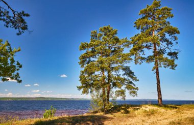 Ormanla çevrili sakin bir gölün panoramik manzarası. Sağdan yükselen uzun çam ağaçları, parlak mavi bir gökyüzü ve ön planda kırmızımsı bir kıyı şeridi ile.
