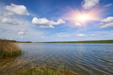 Kristal berrak suyu olan sakin bir göl mavi gökyüzünü, ince bulutları ve uzak, yoğun yeşil ormanı mükemmel yansıtır. Önünde sazlıklar olan huzurlu doğal manzara.