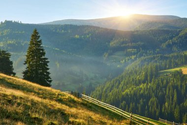 Dik, çimenli bir dağ yamacının dikey manzarası. Sabah güneşiyle aydınlanan ahşap çitli. Uzun yeşiller, aşağıdaki sisli vadileri ve ormanlık tepeleri gözden kaçırır..