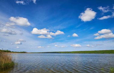 Kristal berrak suyu olan sakin bir göl mavi gökyüzünü, ince bulutları ve uzak, yoğun yeşil ormanı mükemmel yansıtır. Önünde sazlıklar olan huzurlu doğal manzara.