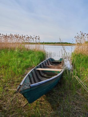 Eski, yıpranmış, yeşil ahşap bir kayığın yakınındaki sazlıklar ve sakin su kıyısında karaya vurmuş. İç ahşap koltukları ve kırsal durumu gösterir.