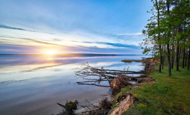 Sakin bir göl, akşam gökyüzünün yumuşak pastel renklerini mükemmel bir şekilde yansıtır. Günbatımında pembe, portakal ve sarılarla boyanır. Siluetli sazlıklar ve uzak bir ağaç hattı huzur dolu sahneyi tamamlıyor..