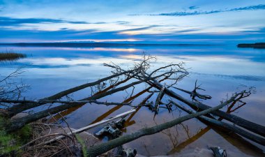 Sakin bir göl, günbatımından sonra alacakaranlık gökyüzünün yumuşak pastel renklerini yansıtır. Düşen ağaç gövdeleri, sakin suya doğru uzanan ön planda yatar..
