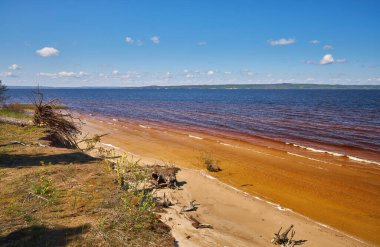 Kehribar rengi suyu, küçük dalgaları ve köklerinden sökülmüş bir ağacı olan bir gölün kumlu kıyısı. Parlak mavi gökyüzü canlı bir yaz atmosferi yaratır..