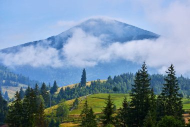 Ukrayna 'nın Karpat Dağları' ndaki Khomyak Dağı manzarası. Bulutlar zirveyi kısmen karalıyor, orman yamaçlarından yükseliyor..