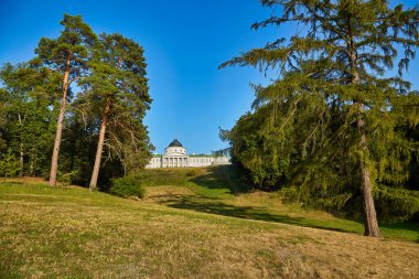 Distant view of Kachanivka Palace in Ukraine, its classical white facade and dome visible across a sunlit, sloping park lawn, framed by tall pine and larch trees.