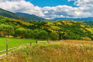 Dağ çayırından manzaralı kır çiçekleri ve kuru otlarla, kırsal ahşap bir çitin üzerinden bulutlu bir gökyüzünün altındaki ormanlık tepelere doğru bakıyor. Kırsal alan.
