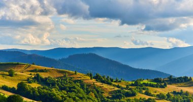 Yaban çiçekleriyle dolu bir dağ otlağından orman tepelerine ve bulutlu bir gökyüzünün altındaki uzak mesafelere bakan kırsal ahşap bir çitin üzerinden bak..