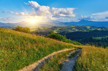 Parlak yaz günü ağaçlarla benekli yeşil tepeleri aydınlatıyor. Parlak mavi gökyüzünün altında beyaz kümülüs bulutlarıyla görülebilen uzak dağlar. Manzaralı kırsal alan.