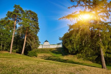 Distant view of Kachanivka Palace in Ukraine, its classical white facade and dome visible across a sunlit, sloping park lawn, framed by tall pine and larch trees.