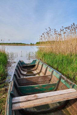 Eski, yıpranmış, yeşil ahşap bir kayığın yakınındaki sazlıklar ve sakin su kıyısında karaya vurmuş. İç ahşap koltukları ve kırsal durumu gösterir.