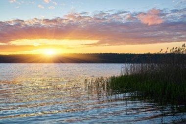 Huzurlu bir gölün üzerinde altın bir gündoğumu, güneş orman sınırının üzerinden gözetliyor. Ön plandaki sazlıklar sakin suları yansıtıyor, sabahın erken saatlerindeki dingin güzelliği yakalıyorlar..