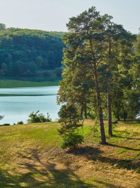 Sakin bir manzara. Yuvarlanan çimenli tepeler sakin bir göle doğru eğimli, yüksek çam ağaçları ve yaprak döken ağaçlar berrak, güneşli bir gökyüzünün altında uzun gölgeler bırakıyor..