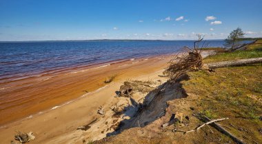 Dalgalar bir orman gölünün kumlu sahilini parlak mavi bir gökyüzünün altında kıyıda büyük bir kökü sökülmüş ağaç ile yıkıyor..
