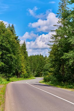 Boş asfalt yol, beyaz kümülüs bulutlarıyla dolu açık mavi bir gökyüzünün altında yoğun yeşil kozalaklı bir orman boyunca kıvrılır. Manzaralı sürüş veya seyahat kavramı.